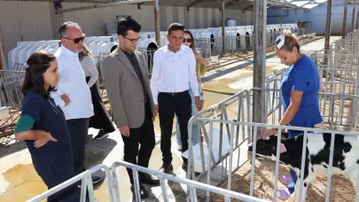 Ayrancı’daki Hayvan Çiftliğinde günlük 23 bin litre süt ve 15 bin kilogram et üretiliyor