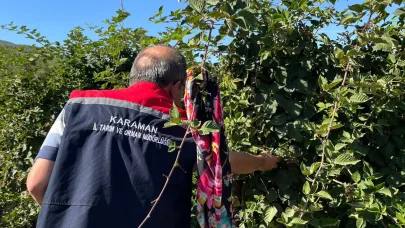 Organik ürünlerin kontrolleri yapıldı