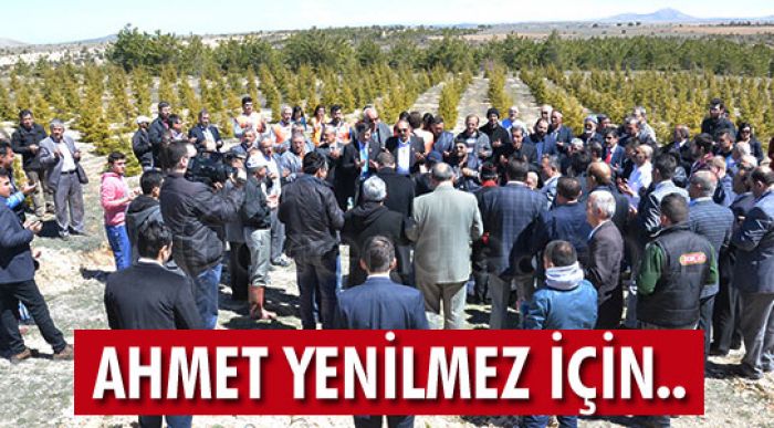 300 Fidan Diktiler
