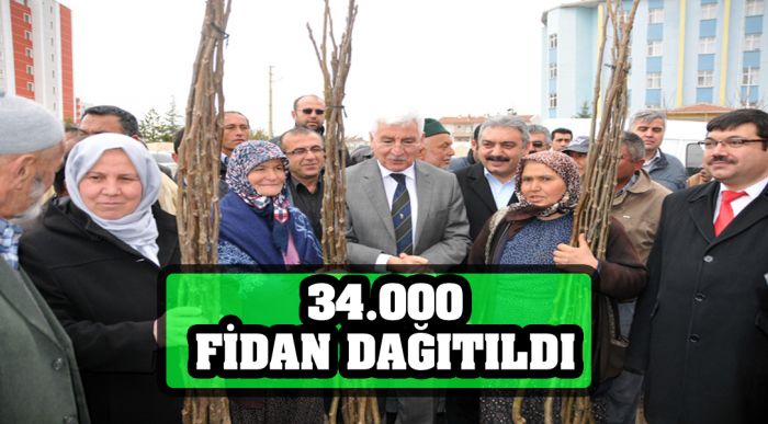 34 Bin Fidan Dağıtıldı