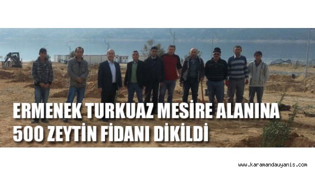 500 ZEYTİN FİDANI DİKİLDİ