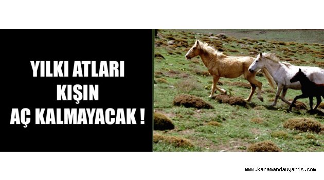 6 Ton Kuru Ot Ve Yonca