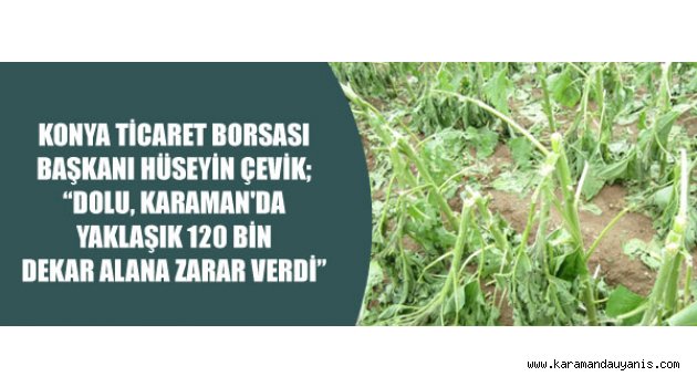 600 bin dekar alanın etkilendi