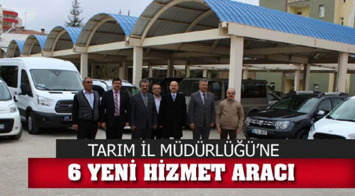 6 Yeni Hizmet Aracı