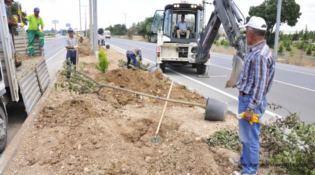 AĞAÇLANDIRMA ÇALIŞMALARINA DEVAM EDİYOR