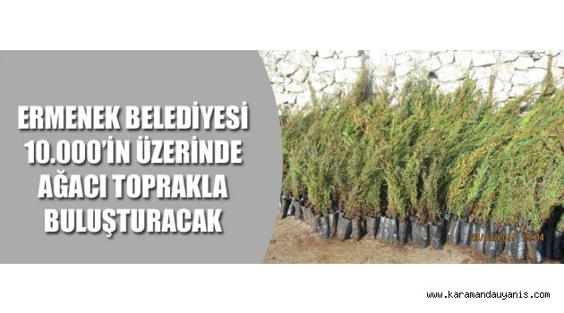 AĞAÇLANDIRMA FAALİYETLERİ
