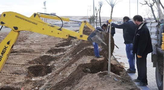 Ağaçlandırma Çalışmaları Sürüyor