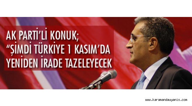 AK PARTİ SEÇİM 2015