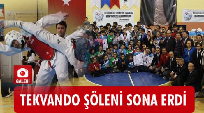 Analig Taekwondo Şöleni Sona Erdi