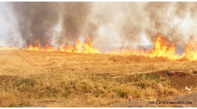 ANIZ YAKAN GELECEĞİNİ YAKAR