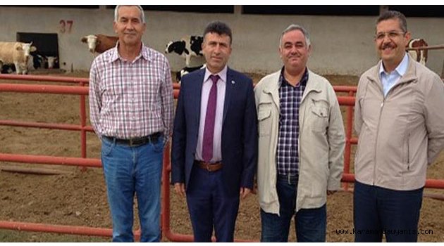 ARİ İŞLETME KURULMASI ÇALIŞMALARI
