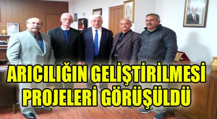 Arıcılığın Geliştirilmesi Projeleri Görüşüldü