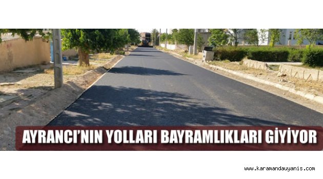 Asfaltlama Çalışmaları