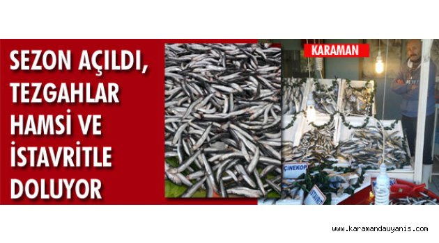 BALIK SEZONU..