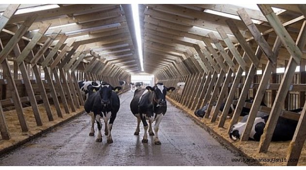 BAŞVURULAR 31 MARTTA BİTİYOR