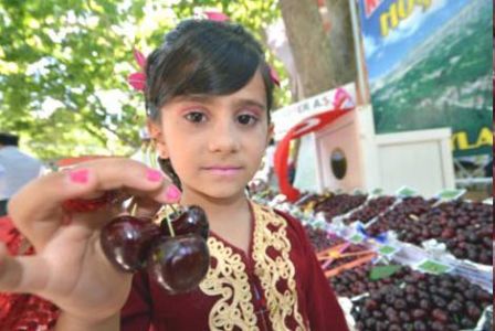 Başyayla’nın Kirazları Tanıtıldı
