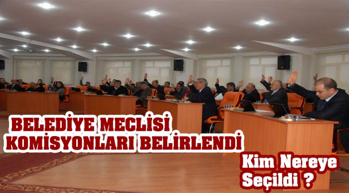 Belediye Meclisi Komisyonları Belirlendi