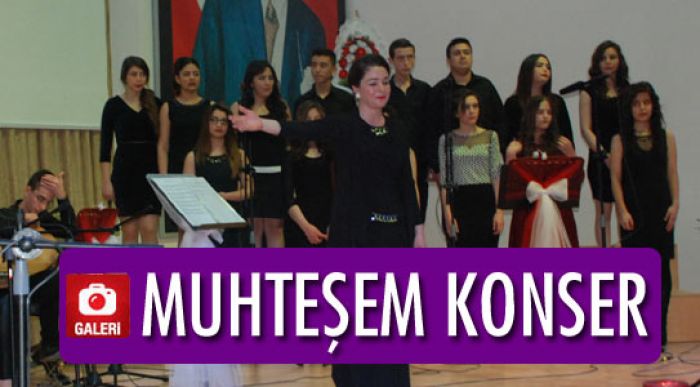 “bir Çalıkuşu Hikayesi”