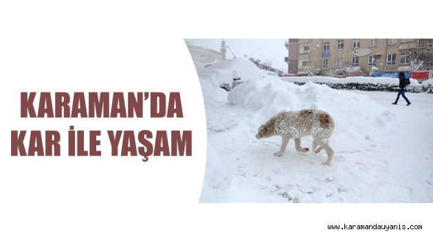 BÖLGEDE KAR YAĞIŞI..