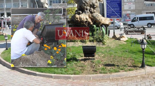 Cambaz Gazi Parkı Aydınlatılıyor