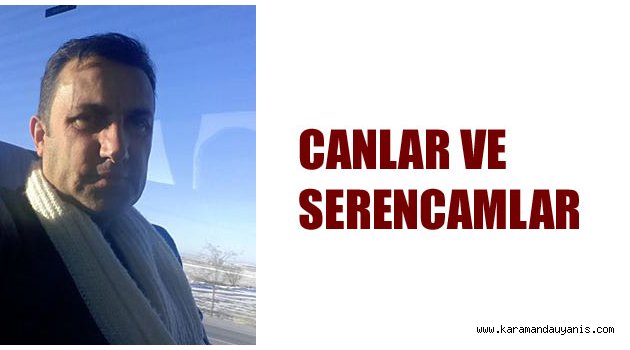 CANLAR VE SERENCAMLAR
