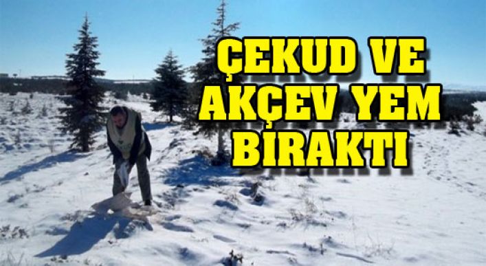 Çekud Ve Akçev Yaban Hayvanları İçin Yem Bıraktı