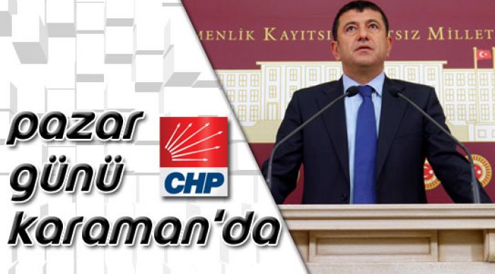 Chp Genel Başkan Yardımcısı