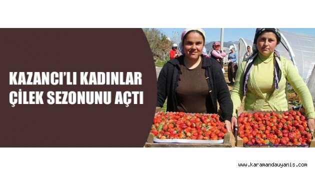 Çilek Hasadı