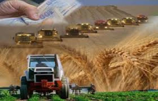 Çks Başvuru Süresi