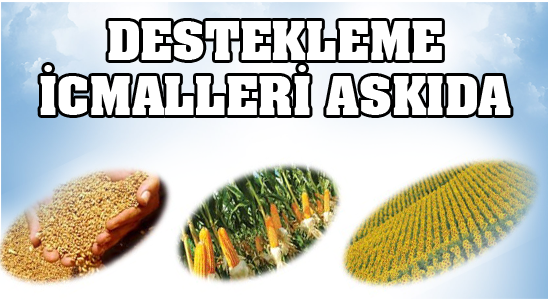 Destekleme İcmalleri Askıda