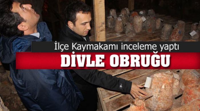 Divle Obruğunda İneceleme Yaptı