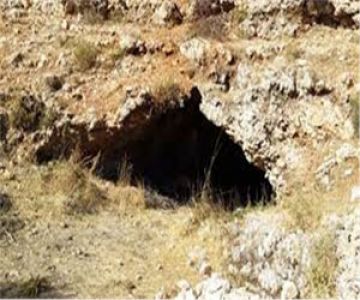 Doğa Yürüyüşü Etkinliği