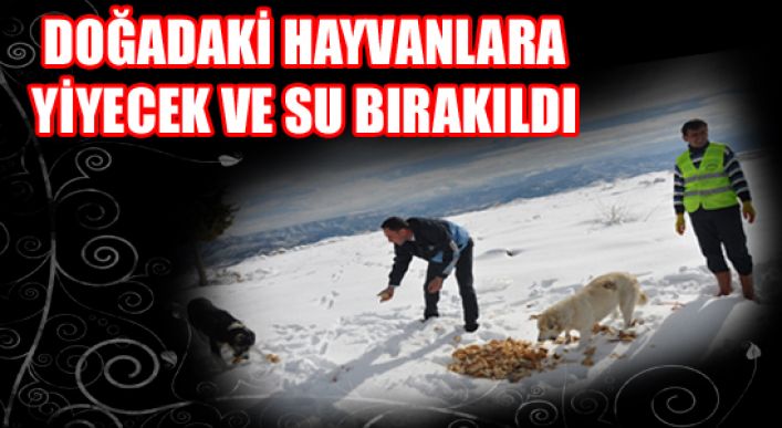 Doğadaki Hayvanlara Yiyecek Ve Su Bırakıldı