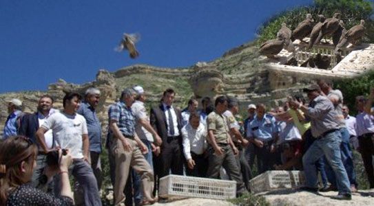 Doğa’ya Bırakıldılar