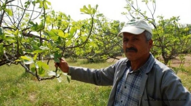 DON ZARARI İÇİN ÇİFTÇİLERE 8 TEMMUZ UYARISI