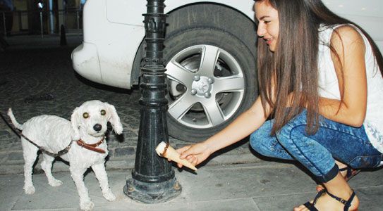 Dondurmalarını Paylaştılar