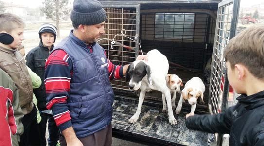 Donmaktan Kurtarıldı