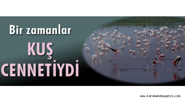 DSİ ÇALIŞMA BAŞLATTI