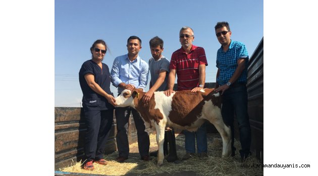 Duru Bey Yetiştiricilere de kazandıracak