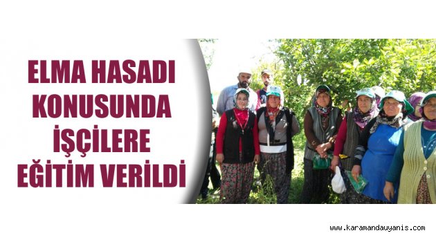 EĞİTİM HİZMETLERİ..