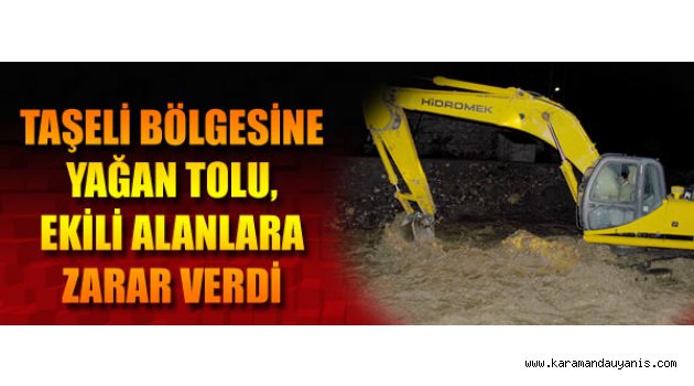 Ekili alanlara büyük zarar verdi.