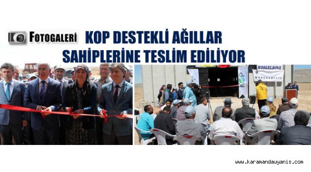 Ekinözü köyünde..