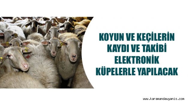 Elektronik Kimliklendirme