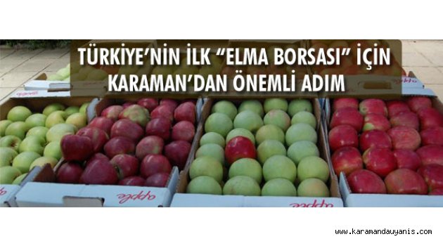 ELMA BORSASI