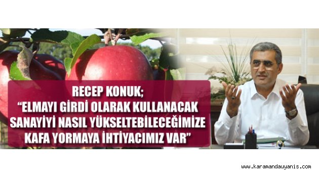 ELMA PANELİ..