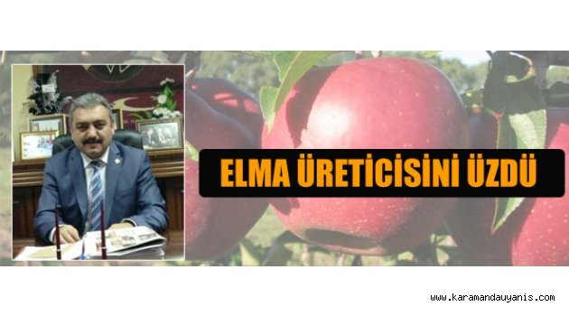 ELMAYA TEŞVİK VERİLMELİ Kalan elmayı iç piyasaya değil teşvik ile