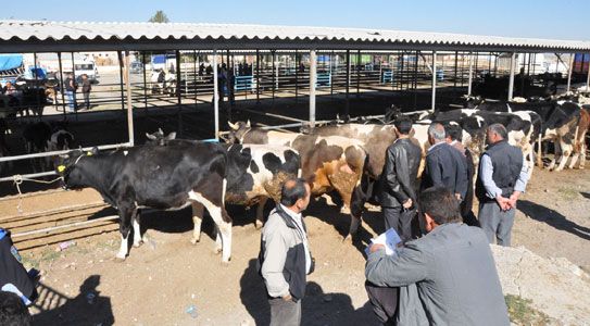 Emniyet’ten Bayram Öncesi Sahte Para Uyarısı