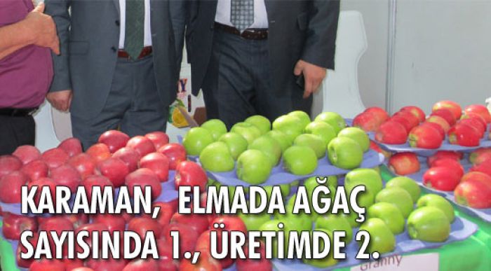 En Çok Elma Ağacı Karaman’da