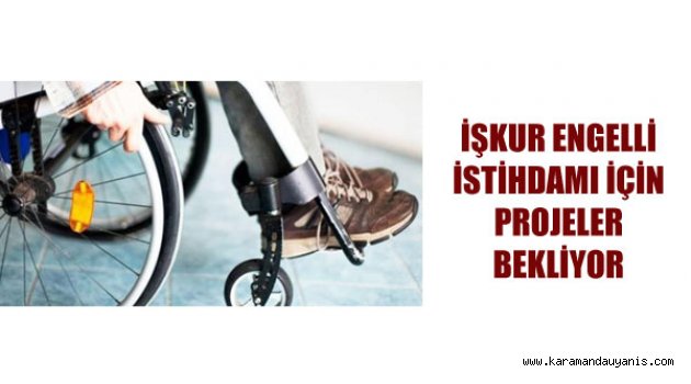 ENGELLİ İSTİHDAMI PROJELERİ