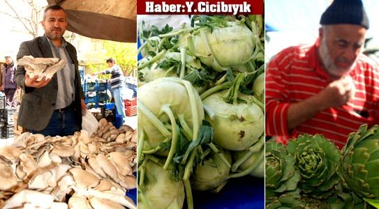 Enginar Ve İstiridye Mantarı Görücüye Çıktı